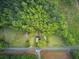 Aerial view of a home nestled among trees with a well-maintained lawn and surrounding open fields at 1050 Mt Zion Rd, Saint George, SC 29477