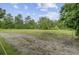 Expansive field with lush greenery and surrounding trees, providing a serene and private setting at 1050 Mt Zion Rd, Saint George, SC 29477