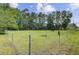 Scenic pasture with horses grazing near a sturdy fence, surrounded by a lush green landscape at 1050 Mt Zion Rd, Saint George, SC 29477