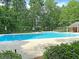 Community pool at 106 Chaff Ct, Summerville, SC 29485