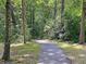 Scenic walking path surrounded by lush greenery and mature trees at 106 Chaff Ct, Summerville, SC 29485