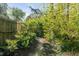 Backyard path lined with vibrant green foliage creating a peaceful and secluded garden setting at 1081 Groves Manor Ct, Mount Pleasant, SC 29464
