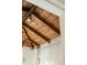 Close-up view of a glass shower and wood-paneled ceiling at 116 Magnolia Ave, Charleston, SC 29403