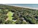 Scenic aerial view of townhomes near the beach and golf course, all surrounded by lush greenery at 1365 Dunlin Court, Share D, Kiawah Island, SC 29455