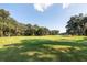 Expansive view of a beautifully maintained golf course with mature trees and clear blue skies at 1365 Dunlin Court, Share D, Kiawah Island, SC 29455