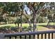 Picturesque golf course view through trees, showcasing lush greenery and serene atmosphere at 1365 Dunlin Court, Share D, Kiawah Island, SC 29455