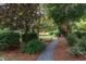 Picturesque backyard featuring a gravel pathway leading to a serene outdoor seating area surrounded by mature trees at 187 Ithecaw Creek St, Daniel Island, SC 29492