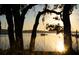 Scenic water view with boats in harbor framed by trees with Spanish moss at sunset at 187 Ithecaw Creek St, Daniel Island, SC 29492