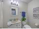 Bright bathroom featuring a sink with counter and toilet with plants and decorative photos at 204 Pointer Dr, Summerville, SC 29485