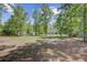 Scenic backyard view with mature trees, offering privacy and a serene environment for relaxation at 209 Cheyenne Rd, Summerville, SC 29483