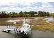 Aerial view featuring a private dock, boat, and waterfront homes at 2372 Darts Cove Way, Mount Pleasant, SC 29466