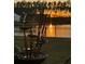 Backyard features a tiered fountain with a view of the lake at sunset at 247 Godwit Dr, Summerville, SC 29486