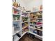 Walk-in pantry featuring an abundance of shelving to maximize storage space at 247 Godwit Dr, Summerville, SC 29486
