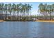 Picturesque view of the community pond surrounded by a dense forest of tall trees at 247 Godwit Dr, Summerville, SC 29486