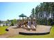 Community playground with slides, climbing structures, and a soft mulch surface for safety and fun at 292 Shadybrook Dr, Summerville, SC 29486