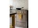 Stainless steel oven with a yellow dish towel draped over the handle in a luxury kitchen at 6 Judith St, Charleston, SC 29403