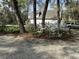 View of exterior of home behind trees and flower bushes with driveway and parked car at 8374 Chisolm Plantation Rd, Edisto Island, SC 29438