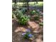 Well-maintained garden with vibrant hydrangea bushes, providing beauty and color at 8374 Chisolm Plantation Rd, Edisto Island, SC 29438