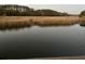 Scenic marsh landscape featuring tall grasses and calm water at sunset with tree covered land in the background at 8374 Chisolm Plantation Rd, Edisto Island, SC 29438