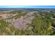 Scenic aerial view of lush, green trees with scattered pines interspersed throughout at 100 Fish Rd, Ridgeville, SC 29472
