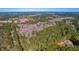 Aerial view of lush green pines mixed with scattered woods and shrubbery at 100 Fish Rd, Ridgeville, SC 29472
