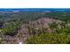 Scenic aerial view of a dense, lush green forest, highlighting the tranquil and natural setting of the property at 100 Fish Rd, Ridgeville, SC 29472