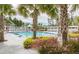 Community pool featuring palm trees, sun loungers, and a splash area at 109 Moscato Ln, Summerville, SC 29485