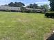Large grassy backyard of property featuring various bushes, trees, and a multifamily building at 1735 Boone Hall Dr # K6, Charleston, SC 29407