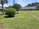 Large grassy backyard of property featuring various bushes, trees, and a multifamily building at 1735 Boone Hall Dr # K6, Charleston, SC 29407