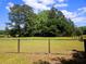 The chain link fenced backyard is framed by lush greenery and mature trees at 18808 Round O Rd, Round O, SC 29474