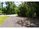 Long gravel driveway leading to the property, providing ample parking and a welcoming approach at 21785 Lowcountry Hwy, Ruffin, SC 29475