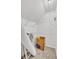 A walk-in closet provides generous storage space with shelves and room for boxes at 3084 Queensgate Way, Mount Pleasant, SC 29466