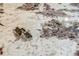 Close-up of a granite kitchen countertop, highlighting the intricate pattern and design at 3298 Heathland Way, Mount Pleasant, SC 29466