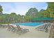Resort style pool featuring lounge chairs surrounded by palm trees and plenty of shaded seating at 3298 Heathland Way, Mount Pleasant, SC 29466