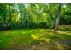 Lush backyard with mature trees providing shade and privacy at 3769 Maidstone Dr, Mount Pleasant, SC 29466