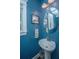 Charming powder room featuring a pedestal sink and blue walls at 3769 Maidstone Dr, Mount Pleasant, SC 29466