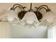 Unique lighting fixture at 505 Sunnyside Way, Summerville, SC 29485
