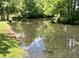 Scenic view of a serene pond surrounded by lush greenery and trees at 505 Sunnyside Way, Summerville, SC 29485