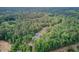 An aerial view of a charming blue home nestled within a vast green forest, offering privacy at 5669 Sands Rd, Hollywood, SC 29449