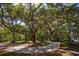 Inviting driveway surrounded by mature trees, creating a picturesque entrance to the property at 622 Venning St, McClellanville, SC 29458