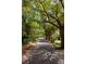 Street view of trees creating a canopy over a road with a mailbox on the right at 622 Venning St, McClellanville, SC 29458