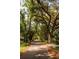 Scenic street with mature trees creating a beautiful, shaded canopy over the road at 622 Venning St, McClellanville, SC 29458