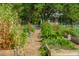 Raised garden beds brimming with thriving vegetation and abundant crops in a tranquil community garden at 1 Marlow Dr, Charleston, SC 29403