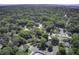 Expansive aerial view of lush, tree-lined neighborhood streets and traditional homes at 1006 Ibis Ct, Mount Pleasant, SC 29464