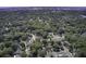 Lush tree canopy covering residential neighborhood with winding streets, as seen from above at 1006 Ibis Ct, Mount Pleasant, SC 29464