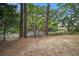 Beautiful marsh view surrounded by tall trees, showcasing the tranquility of nature at 1006 Ibis Ct, Mount Pleasant, SC 29464