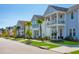 Charming street view featuring colorful homes with front porches and lush landscaping at 1017 Swamp Rose Run, Summerville, SC 29485