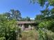 View of the back exterior brick home obscured by overgrown vegetation; needs landscaping at 1022 Miles Jamison Rd, Summerville, SC 29485