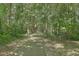 Scenic walking path through a lush, green forest, perfect for outdoor recreation and enjoying nature at 105 Irish Oak Dr, Goose Creek, SC 29445