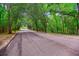 Scenic street lined with mature trees creating a lush canopy at 112 Red Cypress Dr, Goose Creek, SC 29445